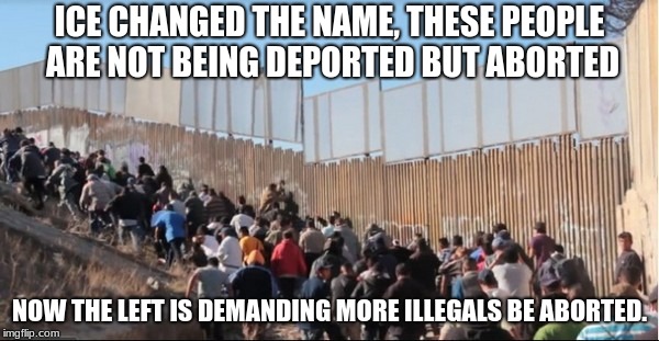 Illegal Immigrants | ICE CHANGED THE NAME, THESE PEOPLE ARE NOT BEING DEPORTED BUT ABORTED; NOW THE LEFT IS DEMANDING MORE ILLEGALS BE ABORTED. | image tagged in illegal immigrants | made w/ Imgflip meme maker
