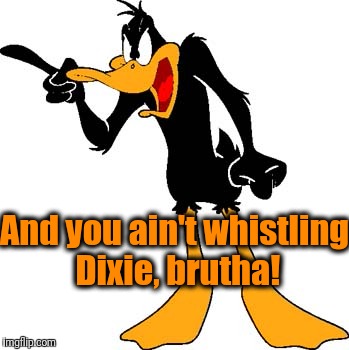 Daffy Duck 201 | And you ain't whistling Dixie, brutha! | image tagged in daffy duck 201 | made w/ Imgflip meme maker