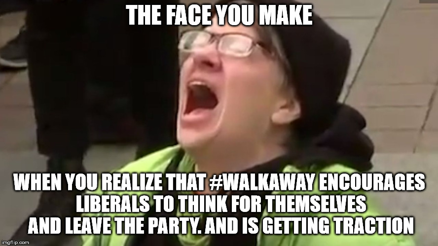 Screaming Liberal  | THE FACE YOU MAKE; WHEN YOU REALIZE THAT #WALKAWAY ENCOURAGES LIBERALS TO THINK FOR THEMSELVES AND LEAVE THE PARTY. AND IS GETTING TRACTION | image tagged in screaming liberal | made w/ Imgflip meme maker