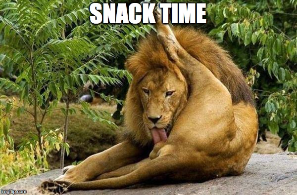 lion licking balls | SNACK TIME | image tagged in lion licking balls | made w/ Imgflip meme maker