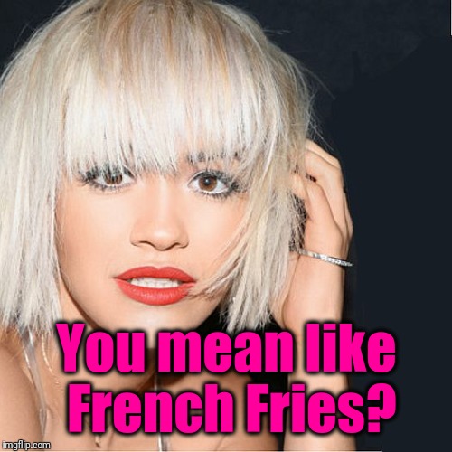 ditz | You mean like French Fries? | image tagged in ditz | made w/ Imgflip meme maker