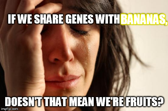 First World Problems Meme | BANANAS, IF WE SHARE GENES WITH BANANAS, DOESN'T THAT MEAN WE'RE FRUITS? | image tagged in memes,first world problems | made w/ Imgflip meme maker
