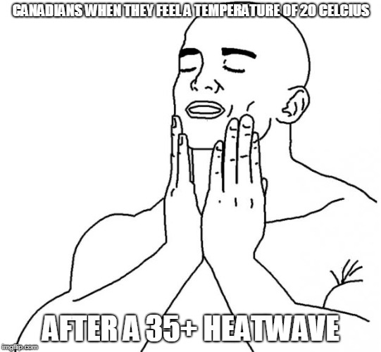 Feels Good Man | CANADIANS WHEN THEY FEEL A TEMPERATURE OF 20 CELCIUS; AFTER A 35+ HEATWAVE | image tagged in feels good man | made w/ Imgflip meme maker