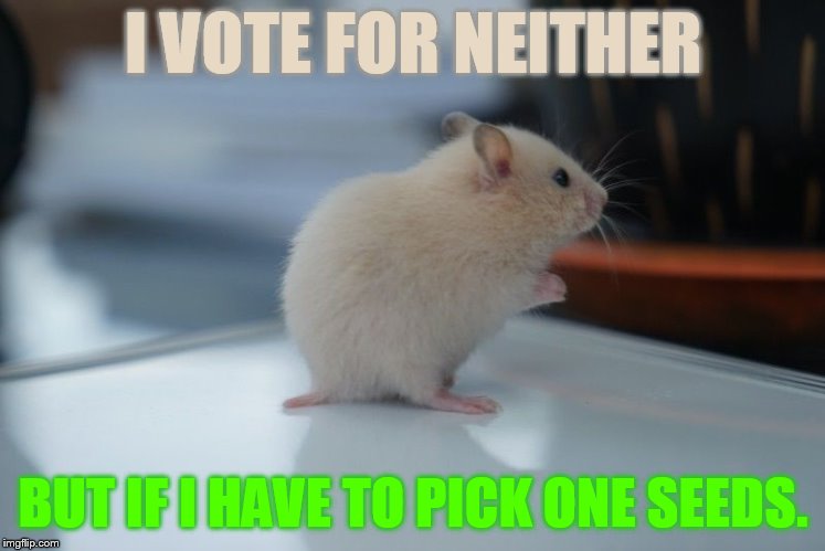 I VOTE FOR NEITHER BUT IF I HAVE TO PICK ONE SEEDS. | made w/ Imgflip meme maker