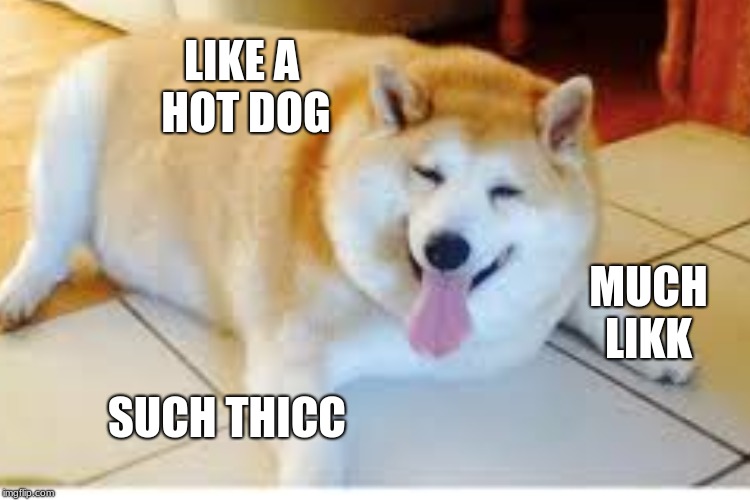 thicc | LIKE A HOT DOG; MUCH LIKK; SUCH THICC | image tagged in doge,meme,thicc,fat | made w/ Imgflip meme maker
