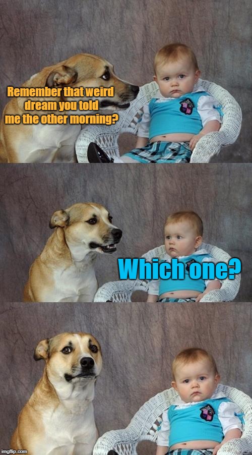 Dad Joke Dog Meme | Remember that weird dream you told me the other morning? Which one? | image tagged in memes,dad joke dog | made w/ Imgflip meme maker