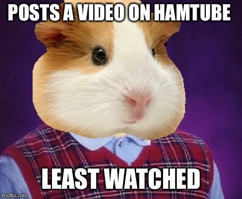 Hamster weekend July 6-8 | POSTS A VIDEO ON HAMTUBE; LEAST WATCHED | image tagged in bad luck hamster,hamster weekend,hamster | made w/ Imgflip meme maker