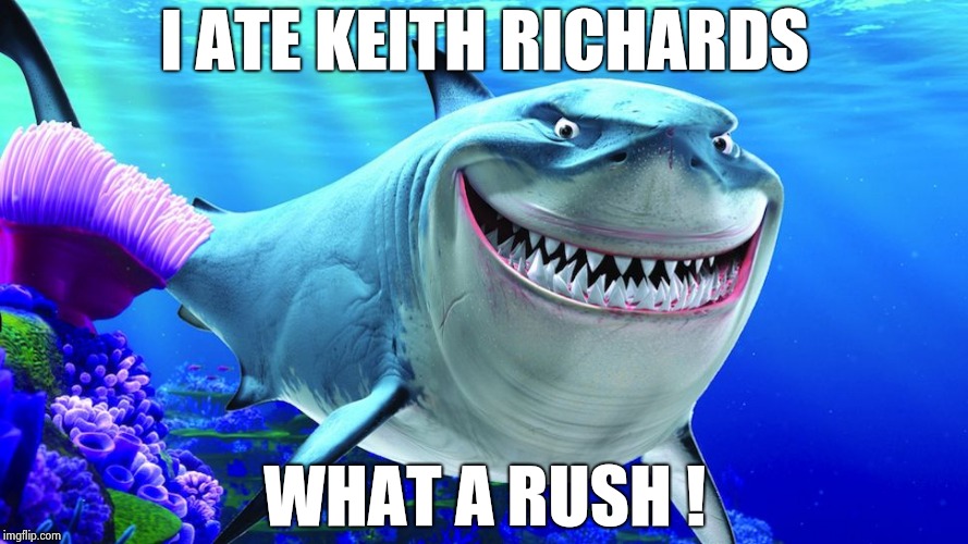 Happy Shark | I ATE KEITH RICHARDS WHAT A RUSH ! | image tagged in happy shark | made w/ Imgflip meme maker
