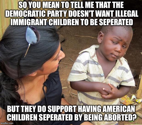 So you mean to tell me | SO YOU MEAN TO TELL ME THAT THE DEMOCRATIC PARTY DOESN'T WANT ILLEGAL IMMIGRANT CHILDREN TO BE SEPERATED; BUT THEY DO SUPPORT HAVING AMERICAN CHILDREN SEPERATED BY BEING ABORTED? | image tagged in so you mean to tell me | made w/ Imgflip meme maker