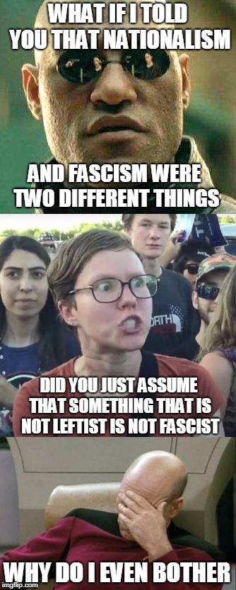 What i told you | WHAT IF I TOLD YOU THAT NATIONALISM; AND FASCISM WERE TWO DIFFERENT THINGS; DID YOU JUST ASSUME THAT SOMETHING THAT IS NOT LEFTIST IS NOT FASCIST; WHY DO I EVEN BOTHER | image tagged in what if i told you,triggered feminist,captain picard facepalm | made w/ Imgflip meme maker
