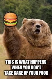 grizzly bear | 🍔; THIS IS WHAT HAPPENS WHEN YOU DON’T TAKE CARE OF YOUR FOOD | image tagged in grizzly bear | made w/ Imgflip meme maker