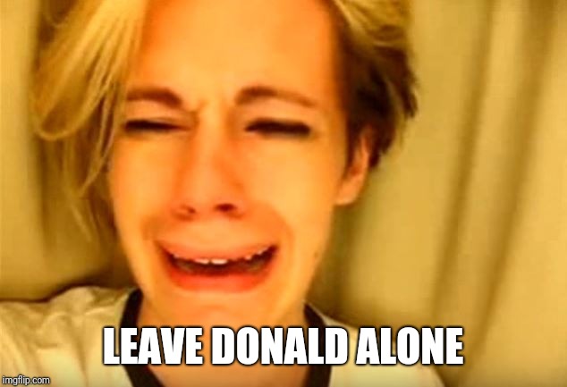 Sad | LEAVE DONALD ALONE | image tagged in donald trump,tiny desk | made w/ Imgflip meme maker