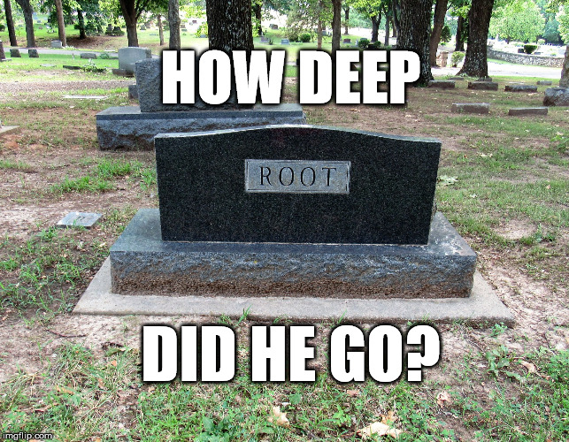 digdeep | HOW DEEP; DID HE GO? | image tagged in digdeep | made w/ Imgflip meme maker