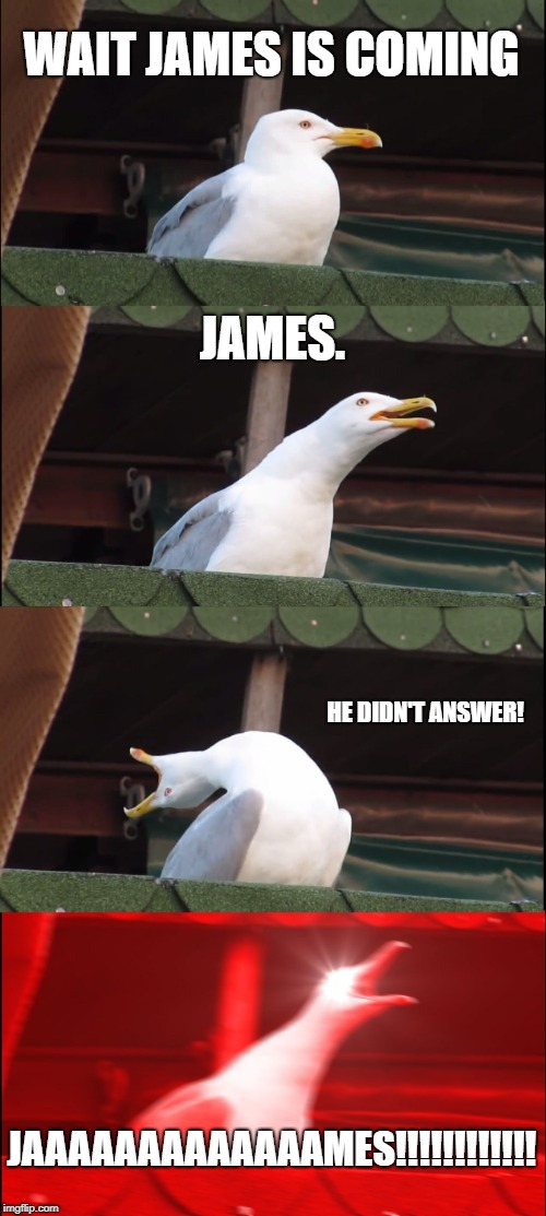 Inhaling Seagull Meme | WAIT JAMES IS COMING; JAMES. HE DIDN'T ANSWER! JAAAAAAAAAAAAAMES!!!!!!!!!!!! | image tagged in memes,inhaling seagull | made w/ Imgflip meme maker