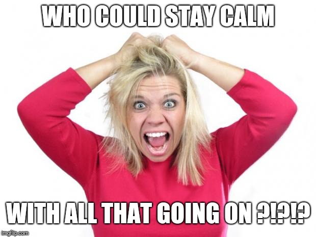 Hair Pulling | WHO COULD STAY CALM WITH ALL THAT GOING ON ?!?!? | image tagged in hair pulling | made w/ Imgflip meme maker