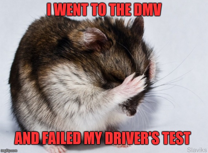 I WENT TO THE DMV AND FAILED MY DRIVER'S TEST | made w/ Imgflip meme maker