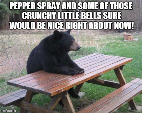 Bad Luck Bear Meme | PEPPER SPRAY AND SOME OF THOSE CRUNCHY LITTLE BELLS SURE WOULD BE NICE RIGHT ABOUT NOW! | image tagged in memes,bad luck bear | made w/ Imgflip meme maker