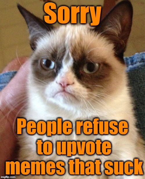 Grumpy Cat Meme | Sorry People refuse to upvote memes that suck | image tagged in memes,grumpy cat | made w/ Imgflip meme maker