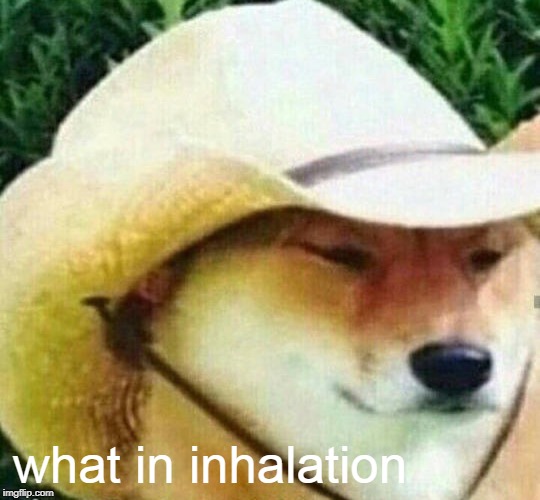 what in inhalation | made w/ Imgflip meme maker