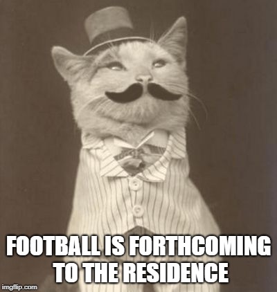 Moustache cat posh | FOOTBALL IS FORTHCOMING TO THE RESIDENCE | image tagged in moustache cat posh | made w/ Imgflip meme maker