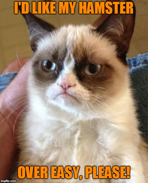 Grumpy Cat Meme | I'D LIKE MY HAMSTER OVER EASY, PLEASE! | image tagged in memes,grumpy cat | made w/ Imgflip meme maker