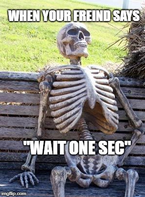 Waiting Skeleton | WHEN YOUR FREIND SAYS; "WAIT ONE SEC" | image tagged in memes,waiting skeleton | made w/ Imgflip meme maker