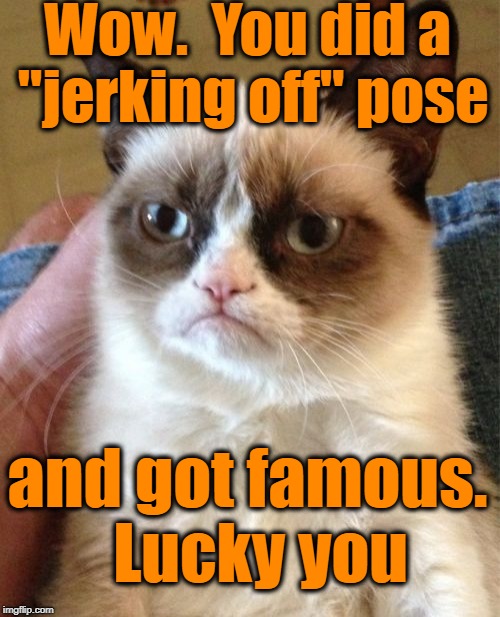 Grumpy Cat Meme | Wow.  You did a "jerking off" pose and got famous.  Lucky you | image tagged in memes,grumpy cat | made w/ Imgflip meme maker