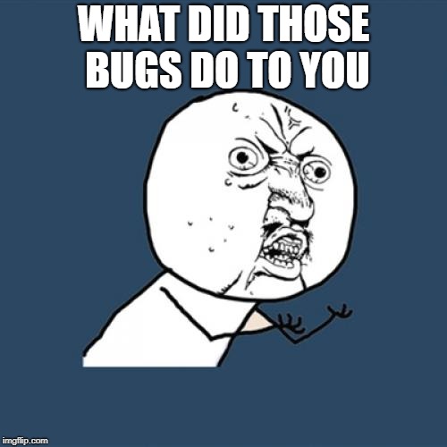 Y U No Meme | WHAT DID THOSE BUGS DO TO YOU | image tagged in memes,y u no | made w/ Imgflip meme maker