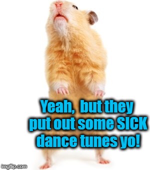 Yeah,  but they put out some SICK dance tunes yo! | made w/ Imgflip meme maker