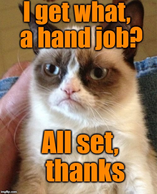 Grumpy Cat Meme | I get what,  a hand job? All set,  thanks | image tagged in memes,grumpy cat | made w/ Imgflip meme maker