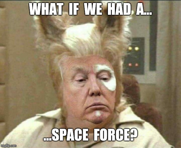 Space Force Mog | WHAT  IF  WE  HAD  A... ...SPACE  FORCE? | image tagged in trump mog,space force,drumpf,trump,dumpster fire | made w/ Imgflip meme maker