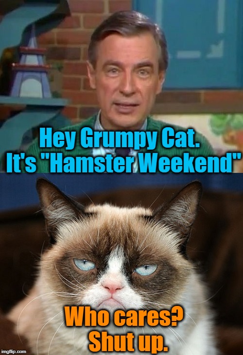 Hamster Weekend July 6-8, a bachmemeguy2, 1forpeace & Shen_Hiroku_Nagato event! | Hey Grumpy Cat.  It's "Hamster Weekend"; Who cares?  Shut up. | image tagged in mister rogers,grumpy cat | made w/ Imgflip meme maker