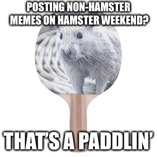 POSTING NON-HAMSTER MEMES ON HAMSTER WEEKEND? THAT’S A PADDLIN’ | made w/ Imgflip meme maker