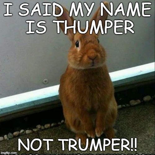 I said my name is THUMPER not TRUMPER!! | I SAID MY NAME IS THUMPER; NOT TRUMPER!! | image tagged in donald trump,trump | made w/ Imgflip meme maker