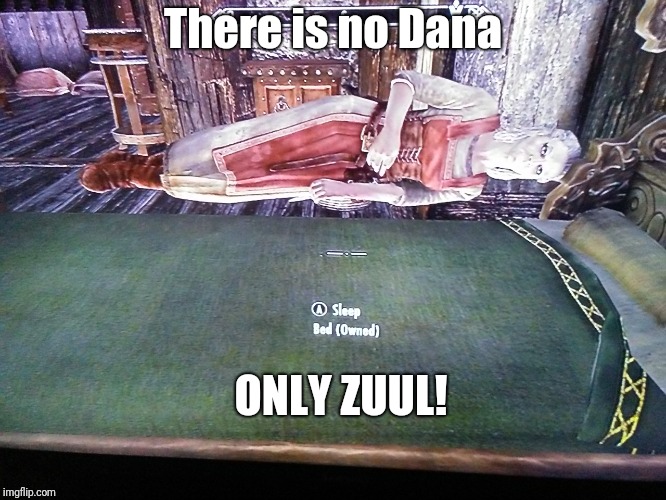 There is no Skyrim | There is no Dana; ONLY ZUUL! | image tagged in skyrim,bethesda,zuul,ghostbusters,glitch | made w/ Imgflip meme maker