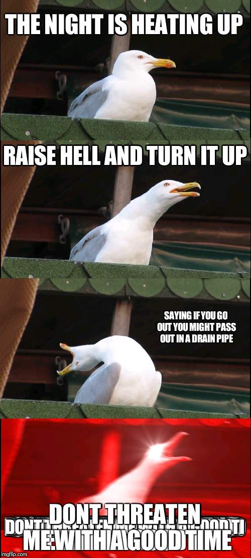 Inhaling Seagull Meme | THE NIGHT IS HEATING UP; RAISE HELL AND TURN IT UP; SAYING IF YOU GO OUT YOU MIGHT PASS OUT IN A DRAIN PIPE; DONT THREATEN ME WITH A GOOD TIME | image tagged in memes,inhaling seagull | made w/ Imgflip meme maker