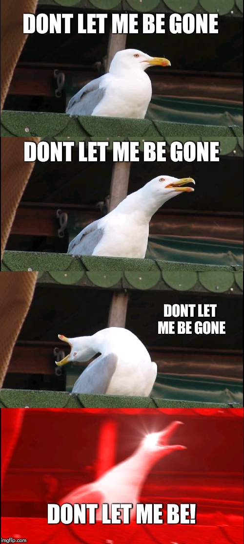 Inhaling Seagull | DONT LET ME BE GONE; DONT LET ME BE GONE; DONT LET ME BE GONE; DONT LET ME BE! | image tagged in memes,inhaling seagull | made w/ Imgflip meme maker