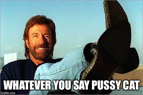 Chuck Norris Says | WHATEVER YOU SAY PUSSY CAT | image tagged in chuck norris says | made w/ Imgflip meme maker