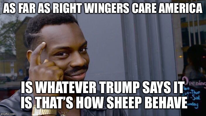 Roll Safe Think About It Meme | AS FAR AS RIGHT WINGERS CARE AMERICA IS WHATEVER TRUMP SAYS IT IS THAT’S HOW SHEEP BEHAVE | image tagged in memes,roll safe think about it | made w/ Imgflip meme maker