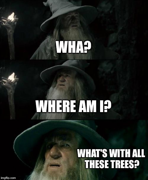 Confused Gandalf | WHA? WHERE AM I? WHAT'S WITH ALL THESE TREES? | image tagged in memes,confused gandalf | made w/ Imgflip meme maker