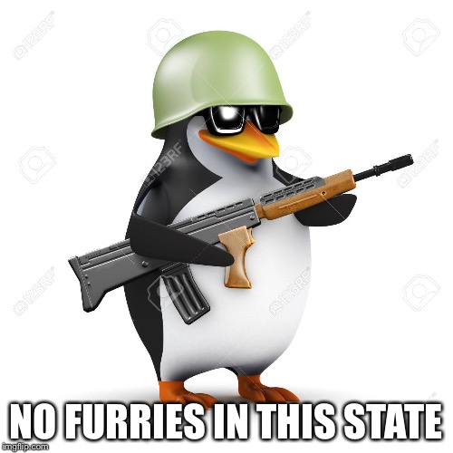 Armed Penguin | NO FURRIES IN THIS STATE | image tagged in armed penguin | made w/ Imgflip meme maker