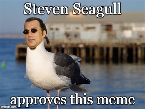 Steven Seagull approves this meme | made w/ Imgflip meme maker