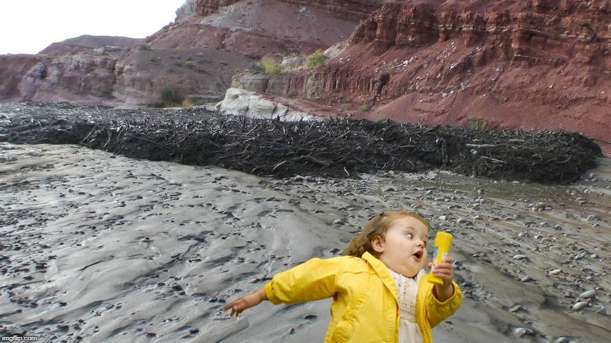 Run Chubby from the Nevada Flash Floods! | image tagged in chubby bubbles girl,flood,nevada,flooding,run,oh shit | made w/ Imgflip meme maker