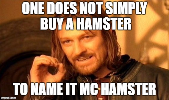 One Does Not Simply Meme | ONE DOES NOT SIMPLY BUY A HAMSTER TO NAME IT MC HAMSTER | image tagged in memes,one does not simply | made w/ Imgflip meme maker