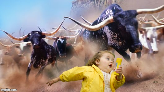 STAMPEDE!!!  | image tagged in chubby bubbles girl,run,oh shit,cow | made w/ Imgflip meme maker