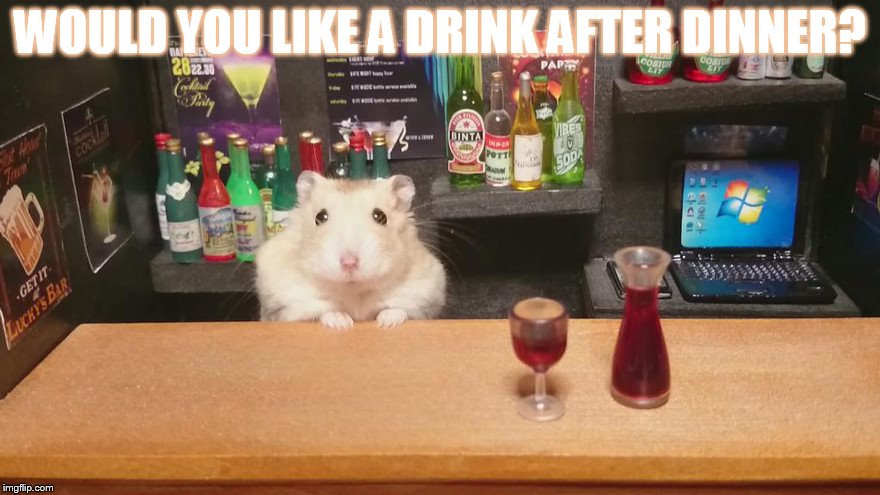 WOULD YOU LIKE A DRINK AFTER DINNER? | made w/ Imgflip meme maker