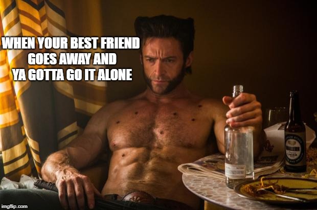 Wolverine depressed | WHEN YOUR BEST FRIEND GOES AWAY AND YA GOTTA GO IT ALONE | image tagged in wolverine depressed | made w/ Imgflip meme maker