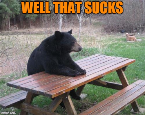 Bad Luck Bear Meme | WELL THAT SUCKS | image tagged in memes,bad luck bear | made w/ Imgflip meme maker