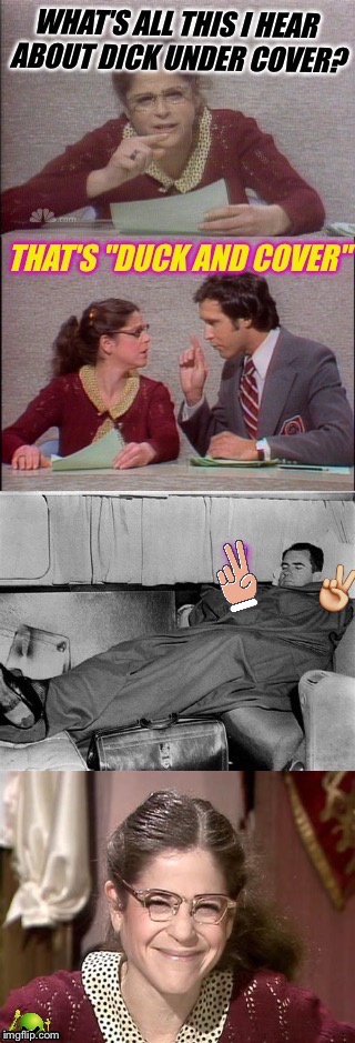 Emily Litella | image tagged in snl,richard nixon,bad pun gilda radner playing emily litella | made w/ Imgflip meme maker