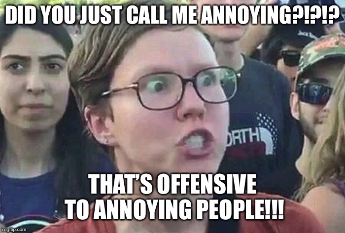 Triggered Liberal | DID YOU JUST CALL ME ANNOYING?!?!? THAT’S OFFENSIVE TO ANNOYING PEOPLE!!! | image tagged in triggered liberal | made w/ Imgflip meme maker